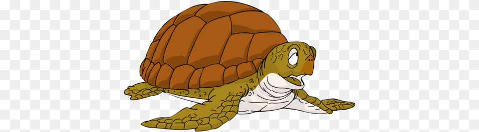 Turtle Dragon Ball Turtle, Animal, Reptile, Sea Life, Tortoise Free Png Download