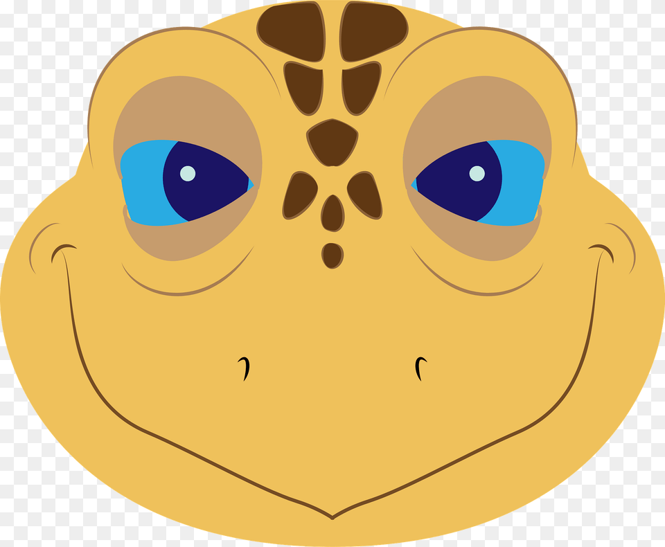 Turtle Face Clipart, Animal, Sea Life Free Png