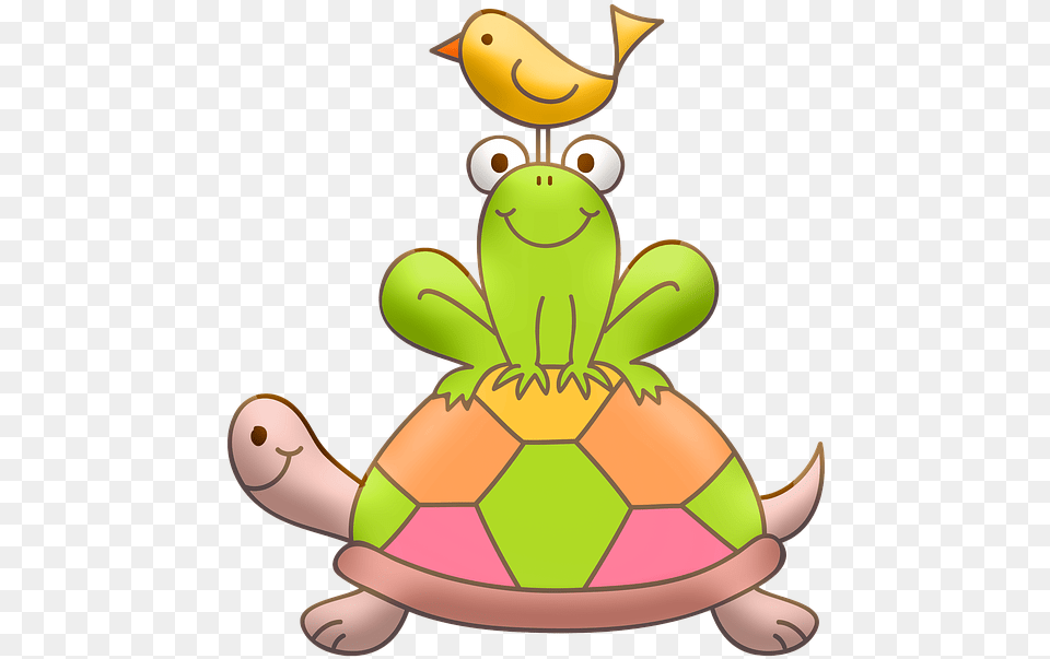 Turtle Frog Bird Turtles, Animal, Reptile, Sea Life, Tortoise Free Png