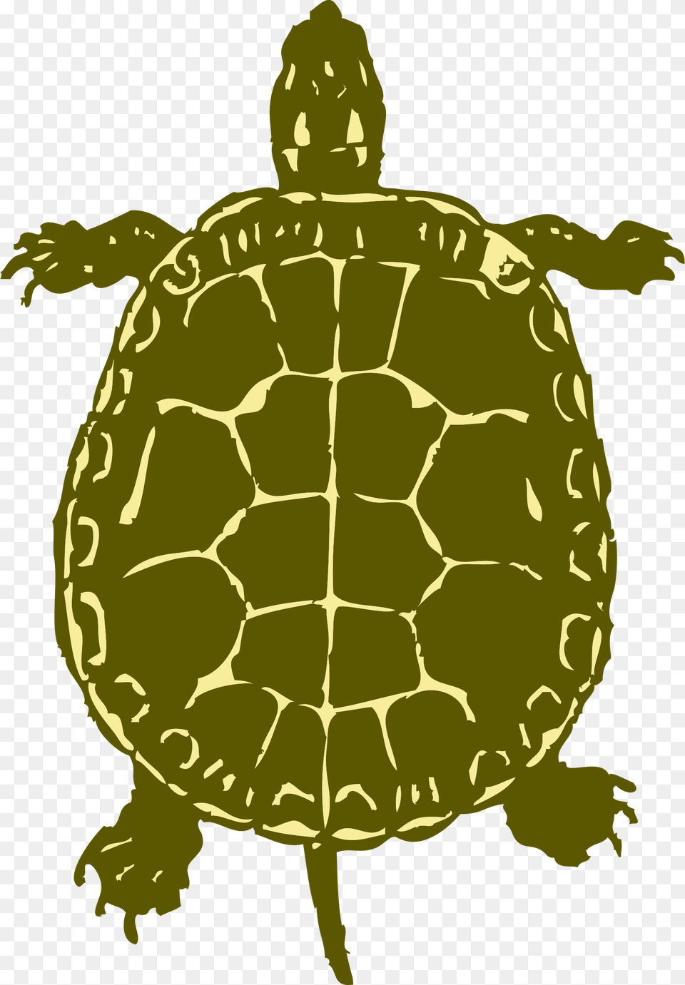 Turtle From Birds Eye View, Animal, Reptile, Sea Life, Tortoise Png