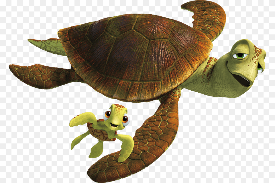 Turtle From Finding Nemo Animal, Reptile, Sea Life, Tortoise Free Transparent Png