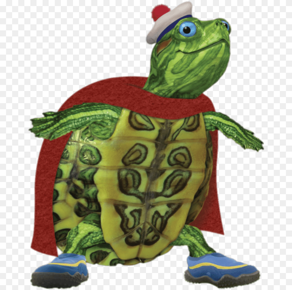 Turtle From Wonder Pets, Animal, Reptile, Sea Life, Tortoise Free Png