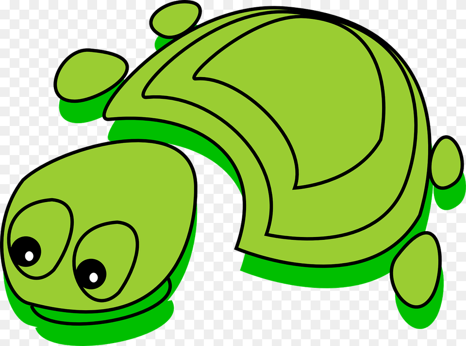 Turtle Green Funny Photo Tortoise Cartoon Free Png Download