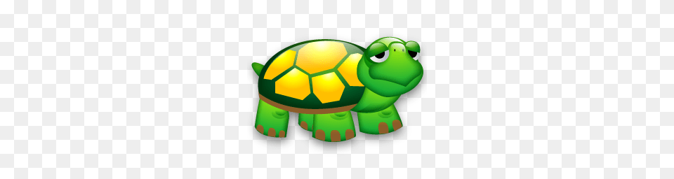 Turtle Royalty Stock Images For Your Design, Green, Animal, Tortoise, Sea Life Png Image