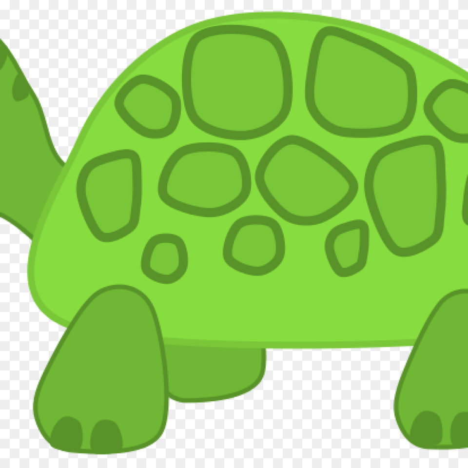 Turtle Images Clip Art Basketball Clipart House Clipart Online, Animal, Reptile, Sea Life, Tortoise Free Transparent Png