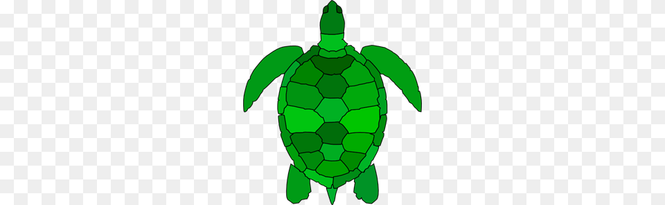 Turtle Images Icon Cliparts, Animal, Reptile, Sea Life, Sea Turtle Free Png