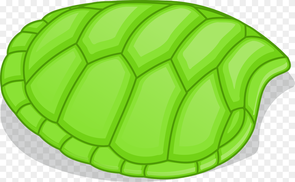 Turtle In Shell Turtle Shell Clipart, Leaf, Plant, Ammunition, Grenade Png