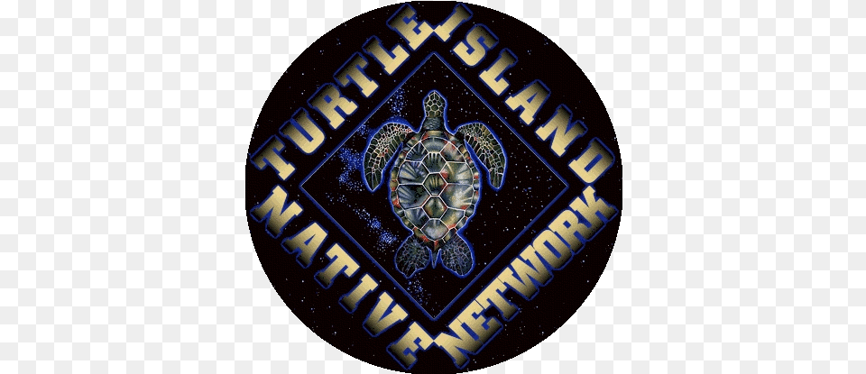 Turtle Island Native Network Tortoise, Animal, Reptile, Sea Life, Logo Png