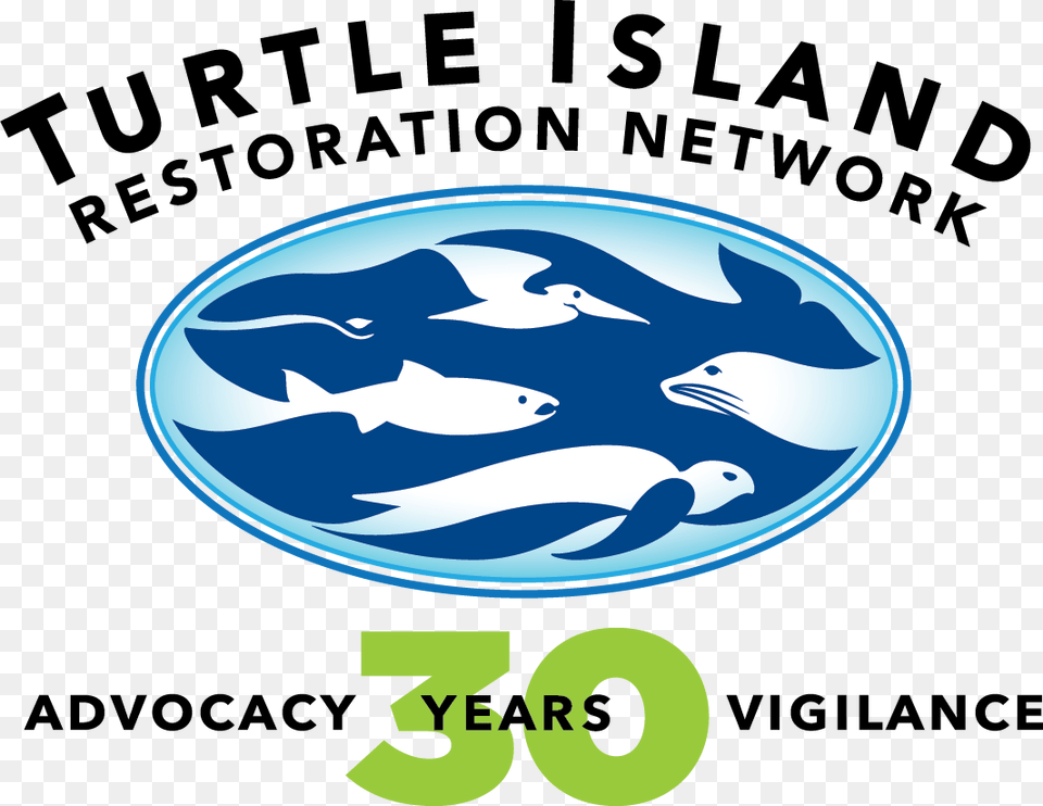 Turtle Island Restoration Network Graphic Design, Animal, Dolphin, Mammal, Sea Life Png