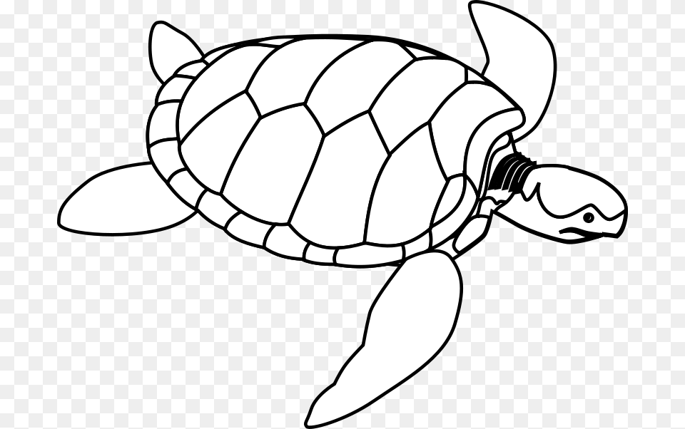 Turtle Line Art Valessiobrito Green Sea Turtle, Animal, Reptile, Sea Life, Tortoise Free Png Download