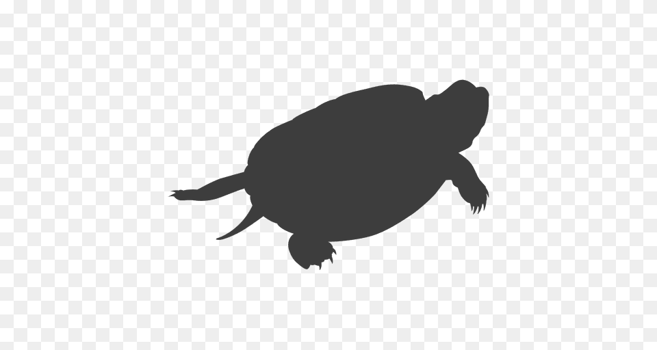 Turtle Lying Silhouette, Animal, Reptile, Sea Life, Tortoise Free Png