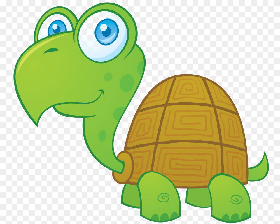 Turtle Photo Turtle Cartoon Characters, Animal, Reptile, Sea Life Png