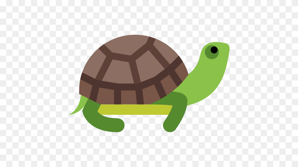 Turtle Photos, Animal, Reptile, Sea Life, Tortoise Free Png Download