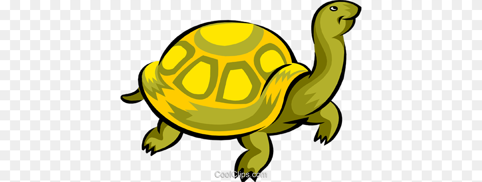 Turtle Royalty Vector Clip Art Illustration, Animal, Reptile, Sea Life, Tortoise Free Png