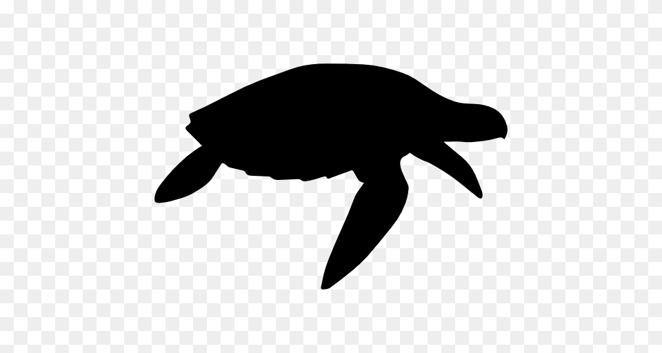 Turtle Shape, Silhouette, Animal, Fish, Sea Life Png