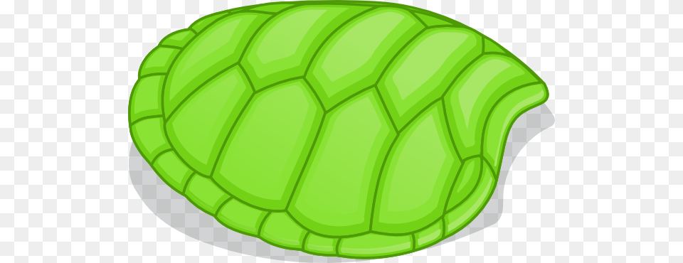 Turtle Shell Clip Art, Ammunition, Grenade, Leaf, Plant Free Transparent Png