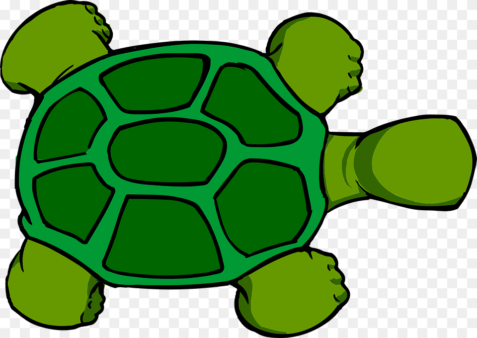 Turtle Shell Clipart Cartoon Turtle Birds Eye View, Animal, Reptile, Sea Life, Tortoise Free Png