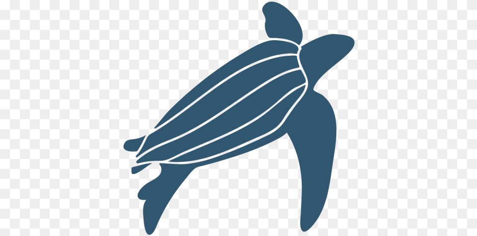 Turtle Shell Detailed Silhouette Animal Illustration, Reptile, Sea Life, Sea Turtle, Person Free Transparent Png