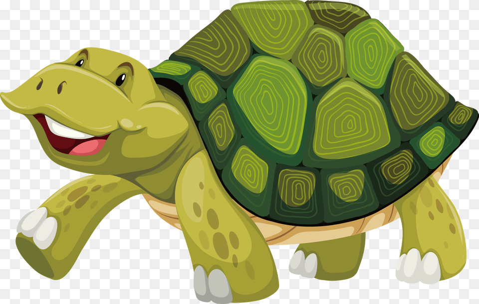 Turtle Shell Stock Photography Illustration Cartoon Green Turtle Shell, Animal, Reptile, Sea Life, Tortoise Png