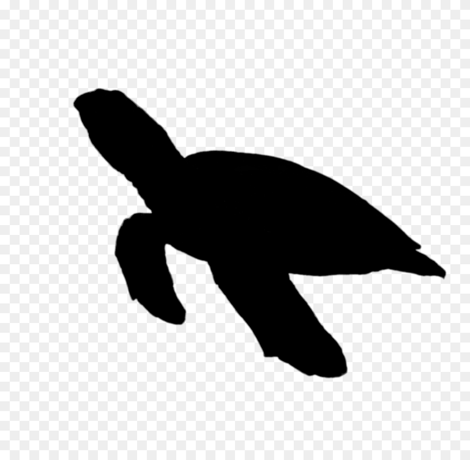 Turtle Silhouette Free Download, Firearm, Gun, Rifle, Weapon Png Image