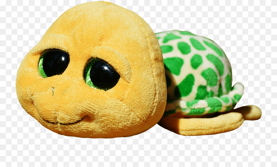 Turtle Stuffed Animal Soft Toy Photo On Pixabay Turtle Teddy Bear, Plush Png Image