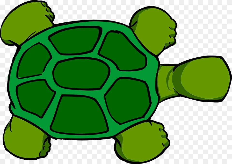 Turtle Top View Animal Green Turtle Cartoon Top View, Tortoise, Sea Life, Reptile, Mammal Free Transparent Png