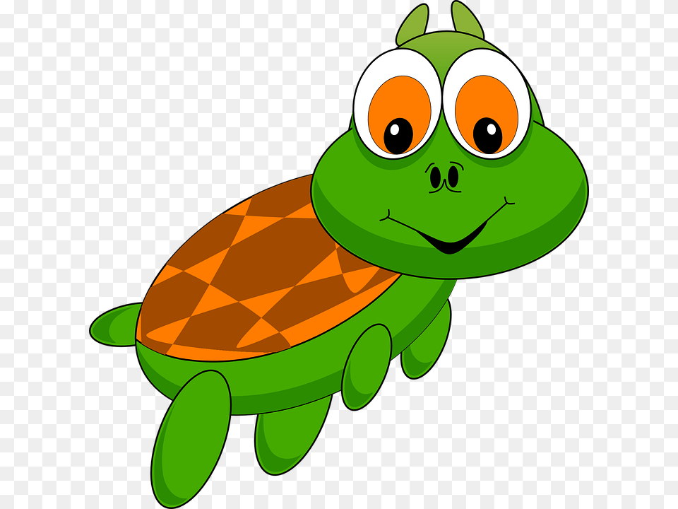Turtle Tortoise Animal Cartoon Zoo Funny Comic Cartoon Turtle Transparent Background Free Png