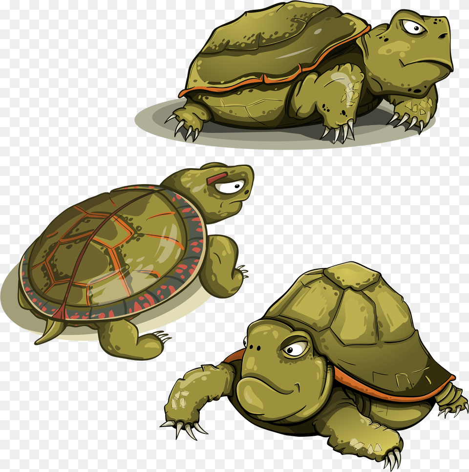 Turtle Tortoise Shell Animals Funny Green Turtle Vector, Animal, Reptile, Sea Life, Box Turtle Png