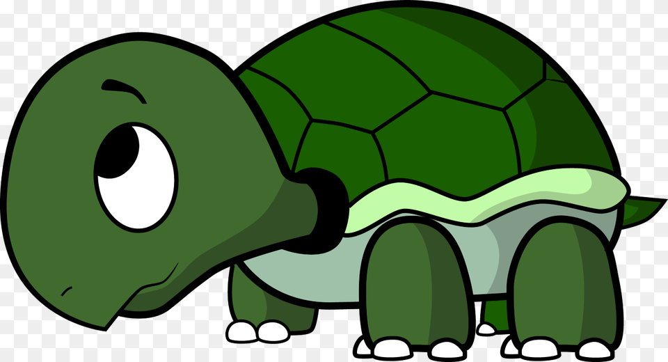 Turtle Transparent Pictures, Green, Animal, Reptile, Sea Life Free Png Download