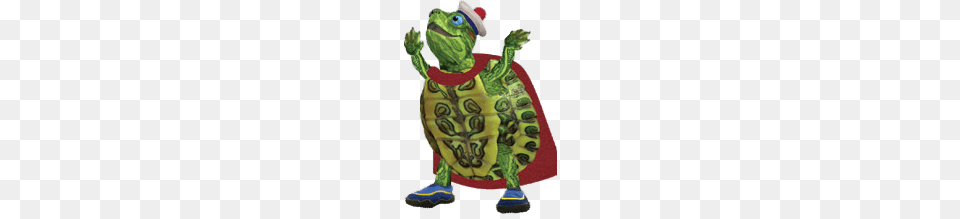 Turtle Tuck Cheering, Animal, Reptile, Sea Life, Tortoise Png