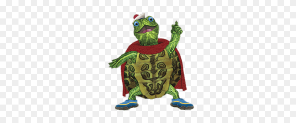 Turtle Tuck Looking Smart Animal, Reptile, Sea Life, Tortoise Free Transparent Png