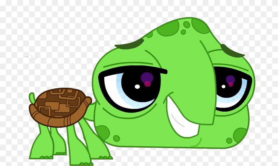 Turtle Vector Lps Turtle, Green, Animal, Reptile, Sea Life Png Image