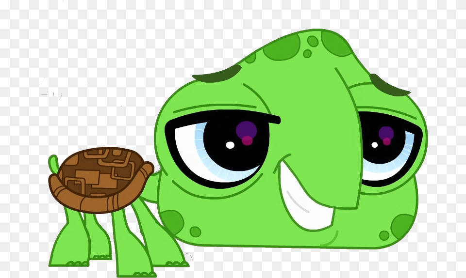 Turtle Vector Lps Turtle Vector, Green, Animal, Reptile, Sea Life Png