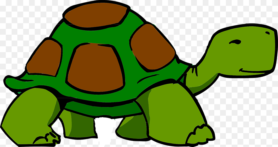 Turtle Vector Turtle Clipart, Animal, Reptile, Sea Life, Tortoise Png