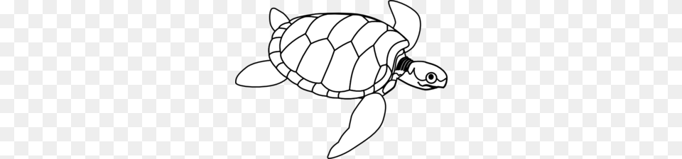 Turtle With Big Eye Clip Art, Animal, Reptile, Sea Life, Tortoise Png Image