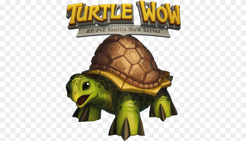 Turtle Wow Private Server, Animal, Reptile, Sea Life, Tortoise Free Png Download