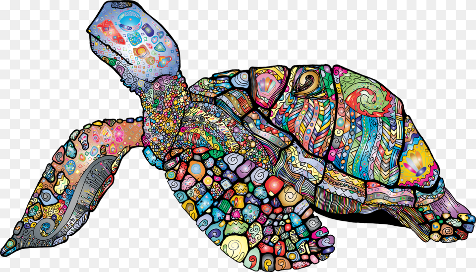Turtleorganismsea Turtle World Sea Turtle Day 2019, Art, Adult, Woman, Person Png Image