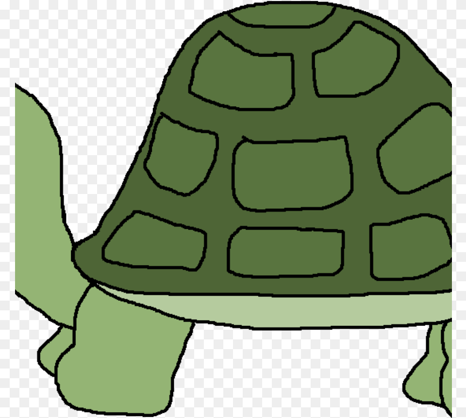 Turtles Clipart Hd, Nature, Outdoors, Snow, Baby Free Transparent Png