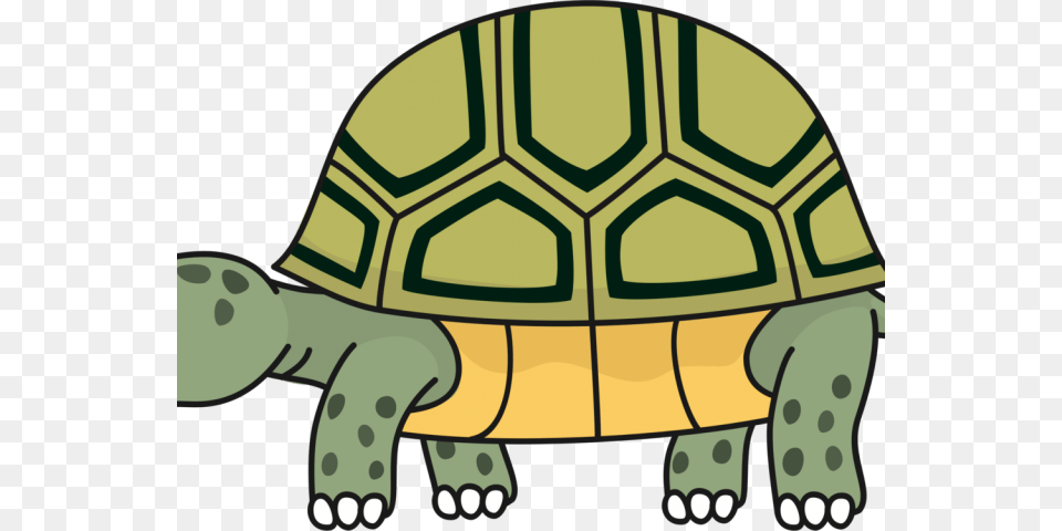 Turtoise Clipart Desert Tortoise Clip Art Tortoise, Animal, Reptile, Sea Life, Turtle Png