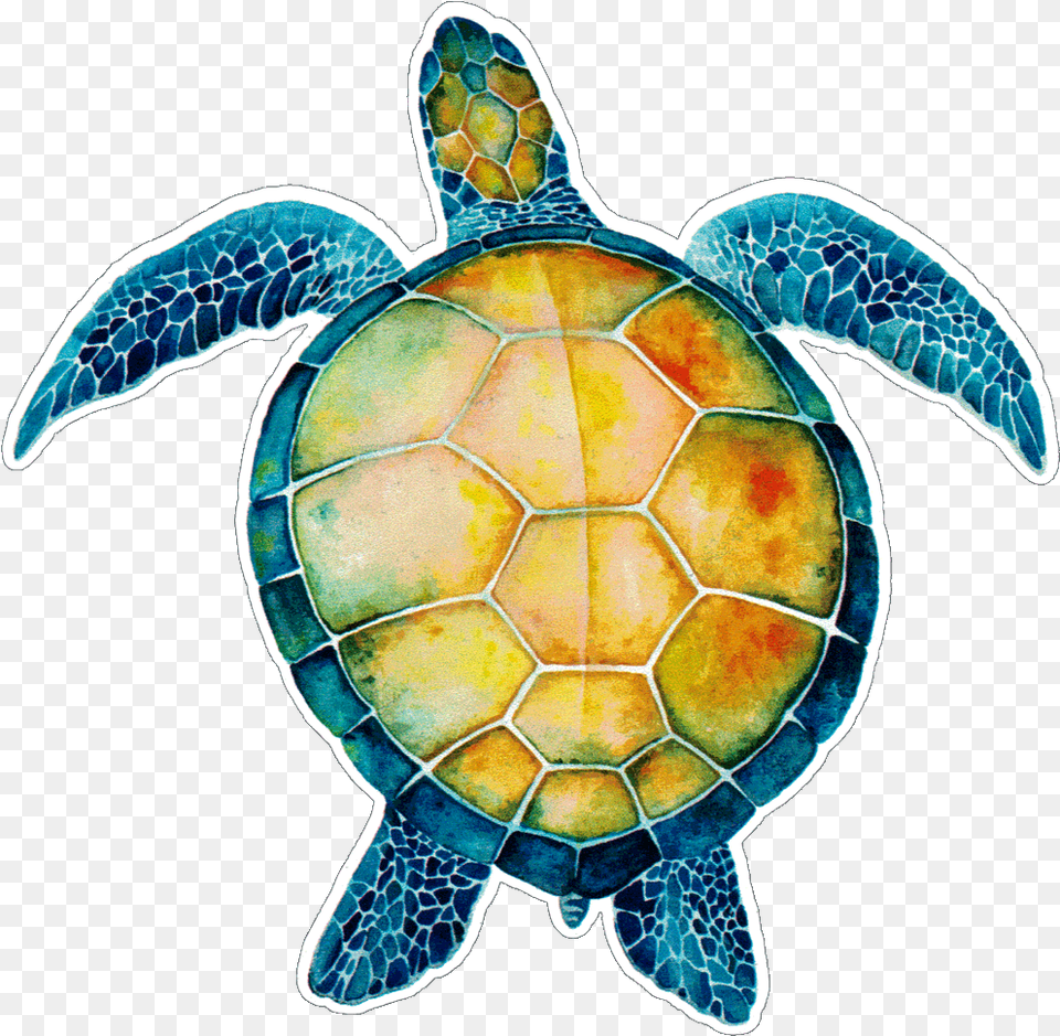 Turtule On Sea Quotes, Animal, Reptile, Sea Life, Sea Turtle Free Transparent Png