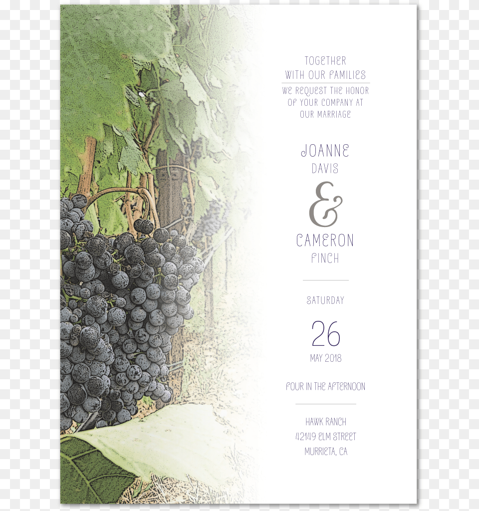 Tuscan Breeze Invitation Invitation Back Grape, Food, Fruit, Grapes, Plant Png