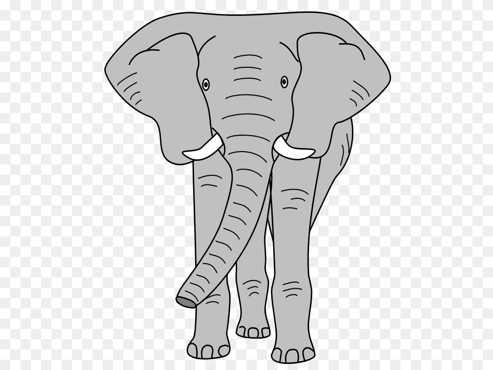 Tusk Clipart African Elephant, Baby, Person, Animal, Mammal Free Transparent Png