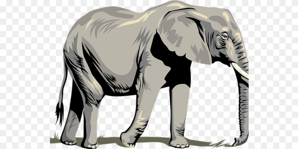 Tusk Clipart Asia Animal Clipart Elephant Background, Adult, Male, Man, Person Free Transparent Png