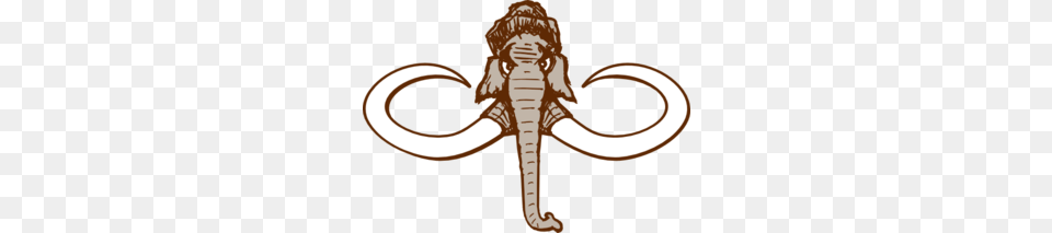Tusk Clipart Elephant Tail, Baby, Person, Animal, Face Png