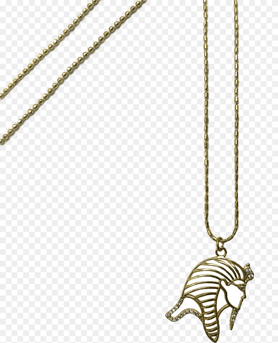 Tut Chain 14k Locket, Accessories, Jewelry, Necklace, Pendant Free Png