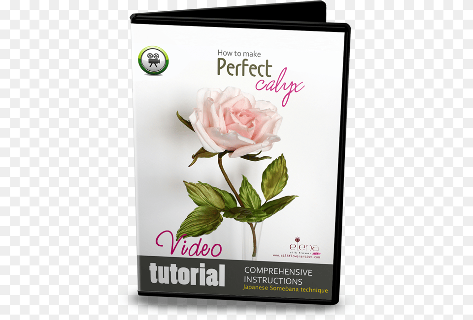 Tutorial, Advertisement, Flower, Plant, Poster Free Png