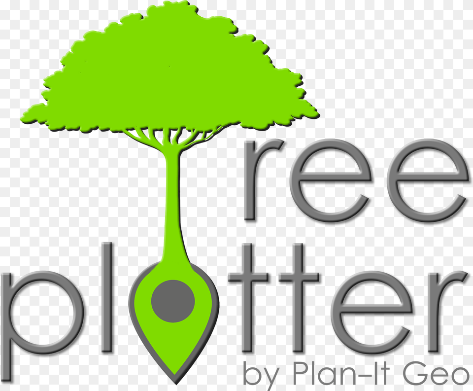 Tutta Bella, Potted Plant, Green, Plant, Tree Png Image