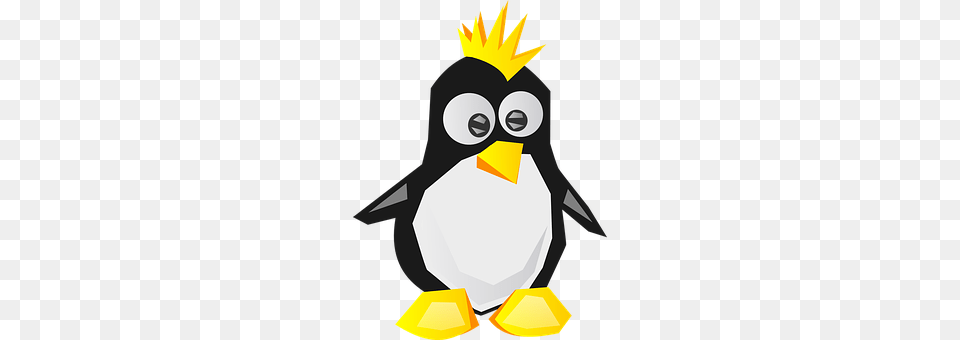 Tux Animal, Bird, Penguin, Bear Free Png