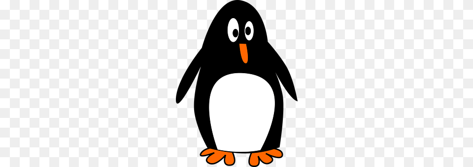 Tux Animal, Bird, Penguin, Astronomy Free Png Download