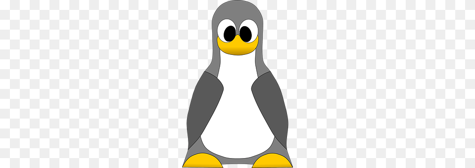 Tux Animal, Bird, Penguin, King Penguin Free Transparent Png